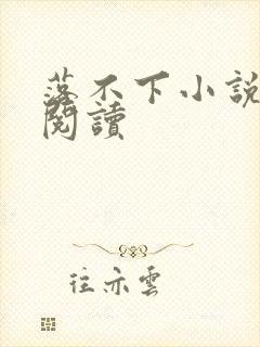 落不下小说免费阅读