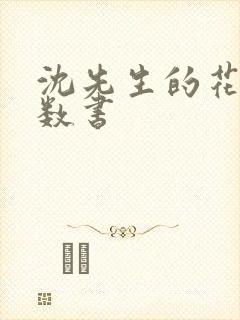 沈先生的花式调数书