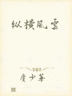 纵横风云封面