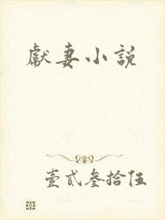 献妻小说封面