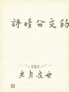 诗晴公交的小说