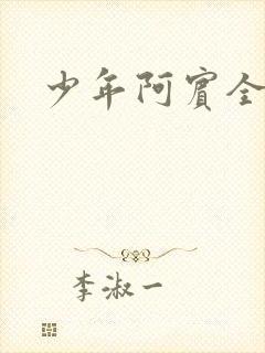 少年阿宾全文封面