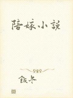 陪嫁小说封面