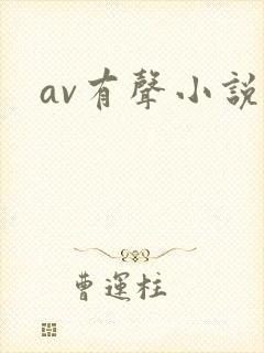av有声小说