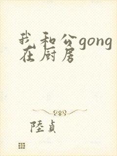 我和公gong在厨房