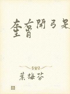 左右开弓是什么生肖