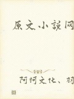 原文小说网