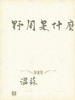 野周是什么意思