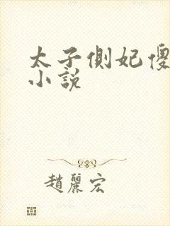 太子侧妃傻乎乎小说封面