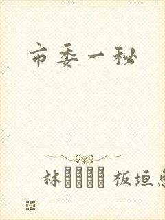 市委一秘封面