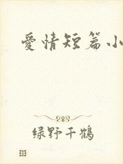 爱情短篇小说
