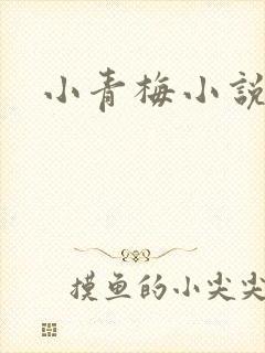 小青梅小说封面