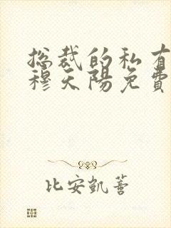 总裁的私有宝贝穆天阳免费封面