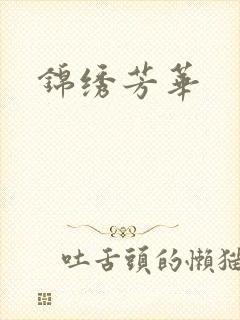 锦绣芳华封面