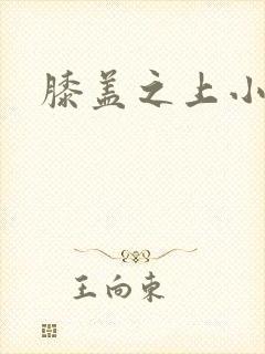 膝盖之上小说