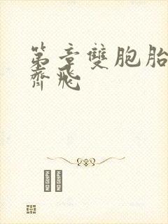 第章双胞胎姐妹齐飞