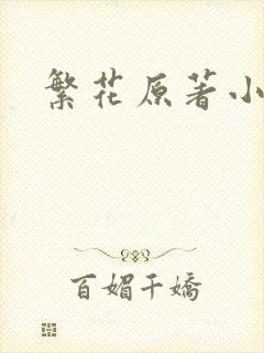 繁花原著小说
