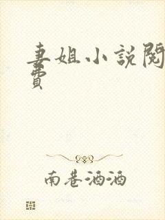 妻姐小说阅读免费封面