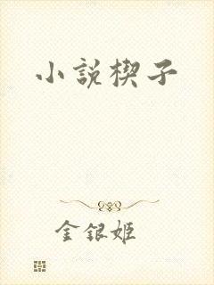 小说楔子