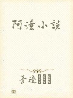阿潼小说
