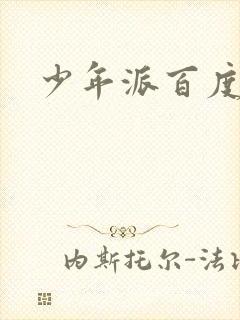 少年派百度百科