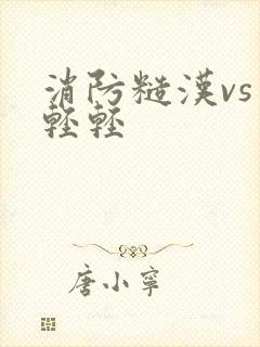 消防糙汉vs宋轻轻