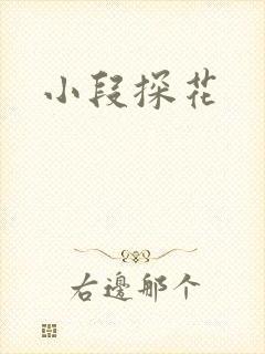 小段探花