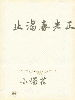 止渴春光正好