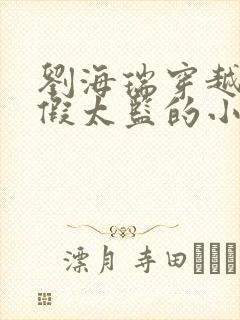 刘海瑞穿越后宫假太监的小说