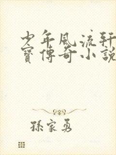 少年风流轩辕大宝传奇小说