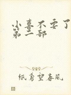 小喜不要了好大第二部封面