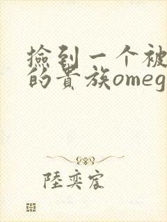 捡到一个被抹布的贵族omega封面