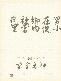 我被绑在男公厕里当肉便小说