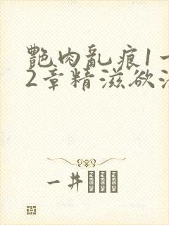 艳肉乱痕1一12章精滋欲液