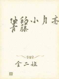 他的小月亮by青藤