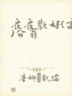 夜夜欢好(高h)公翁
