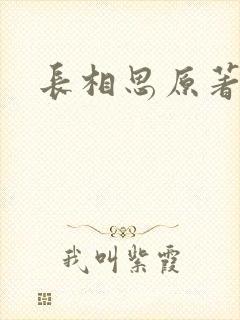 长相思原著小说封面