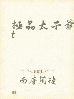 极品太子爷txt