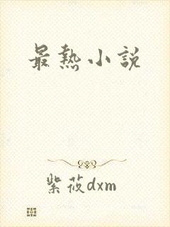 最热小说
