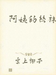 阿姨的丝袜小说