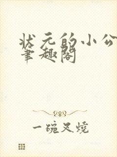 状元的小公主 笔趣阁