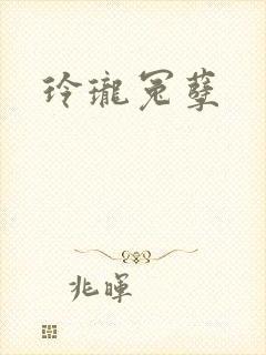玲珑冤孽