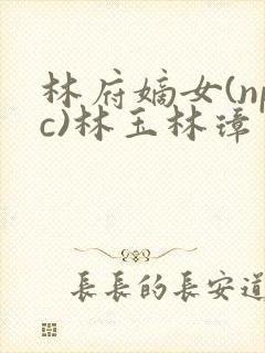 林府嫡女(npc)林玉林璋