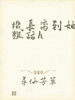 机长脔到她哭h粗话h