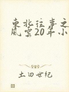 东北往事之黑道风云20年小说