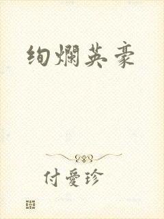 绚烂英豪封面