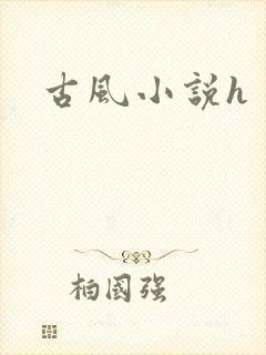 古风小说h封面