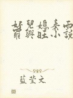 好儿媳秦雨罗明罗兴旺小说