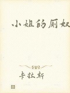 小姐的厕奴