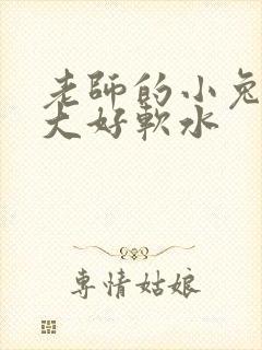 老师的小兔子好大好软水封面